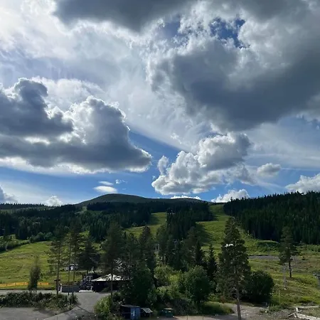 Alpine - 510 Apartment *